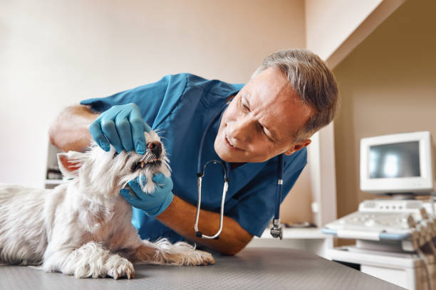 Best Emergency Wisdom Tooth Extraction in East Canton, OH